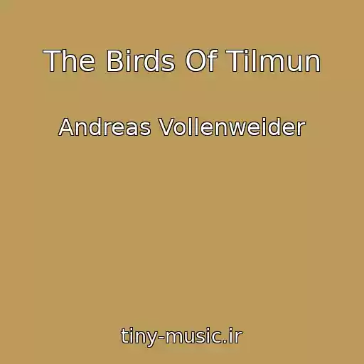 کاور آهنگ The Birds Of Tilmun از Andreas Vollenweider