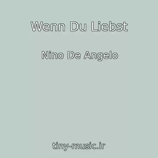 کاور آهنگ Wenn Du Liebst از Nino De Angelo