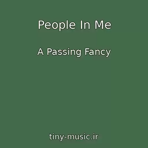 کاور آهنگ People In Me از A Passing Fancy