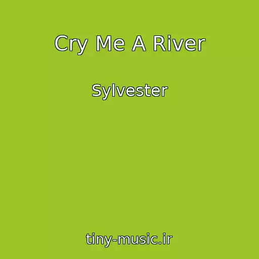 کاور آهنگ Cry Me A River از Sylvester