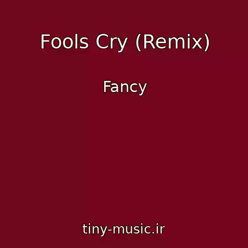 کاور آهنگ Fools Cry (Remix) از Fancy