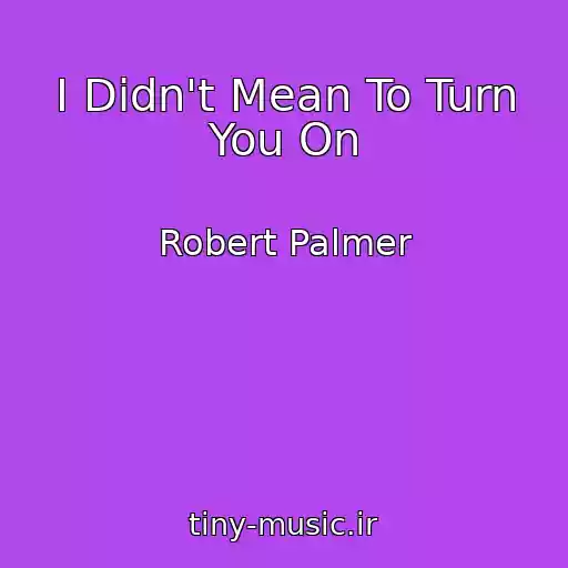 کاور آهنگ I Didn't Mean To Turn You On از Robert Palmer