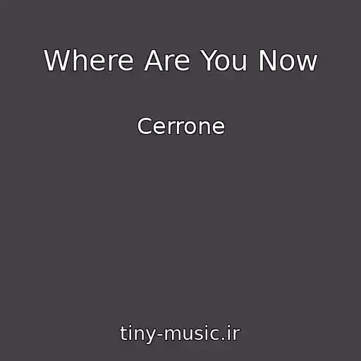 کاور آهنگ Where Are You Now از Cerrone