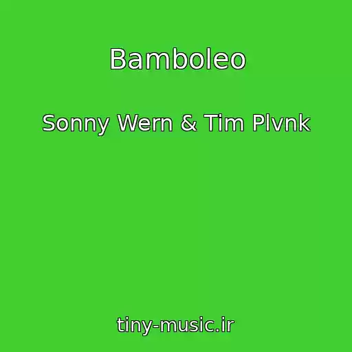 کاور آهنگ Bamboleo از Sonny Wern & Tim Plvnk