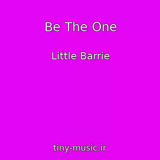 کاور آهنگ Be The One از Little Barrie