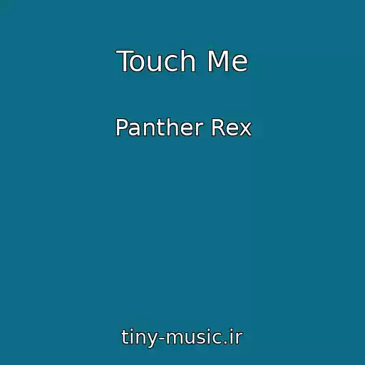 کاور آهنگ Touch Me از Panther Rex