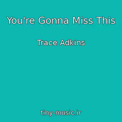 کاور آهنگ You're Gonna Miss This از Trace Adkins