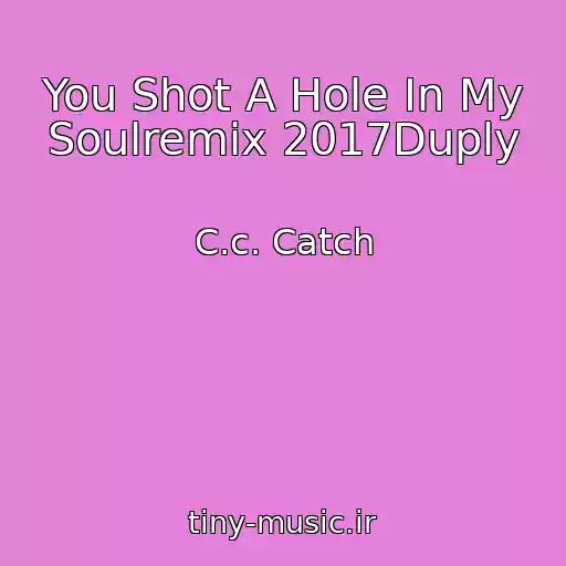 کاور آهنگ You Shot A Hole In My Soulremix 2017Duply از C.c. Catch