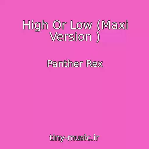 کاور آهنگ High Or Low (Maxi Version ) از Panther Rex