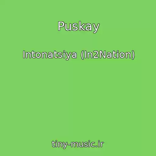 کاور آهنگ Puskay از Intonatsiya (In2Nation)