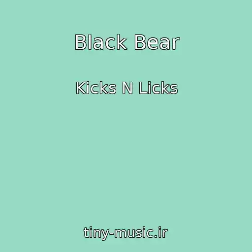 کاور آهنگ Black Bear از Kicks N Licks