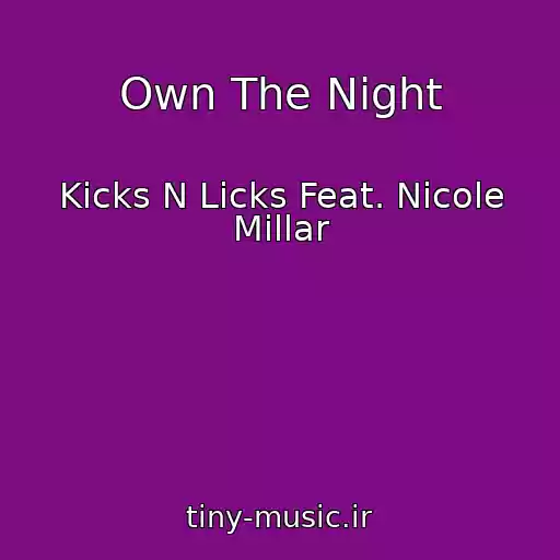 کاور آهنگ Own The Night از Kicks N Licks Feat. Nicole Millar