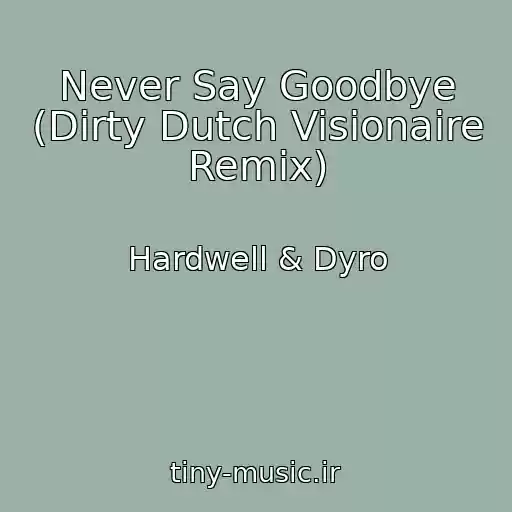 کاور آهنگ Never Say Goodbye (Dirty Dutch Visionaire Remix) از Hardwell & Dyro