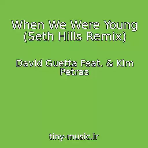 کاور آهنگ When We Were Young (Seth Hills Remix) از David Guetta Feat. & Kim Petras