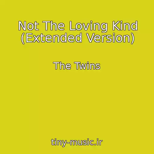 کاور آهنگ Not The Loving Kind (Extended Version) از The Twins