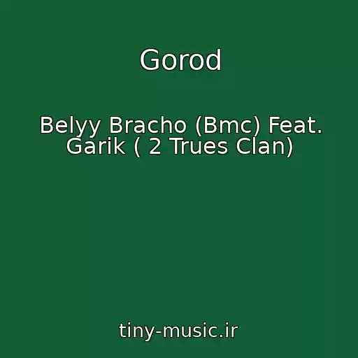 کاور آهنگ Gorod از Belyy Bracho (Bmc) Feat. Garik ( 2 Trues Clan)