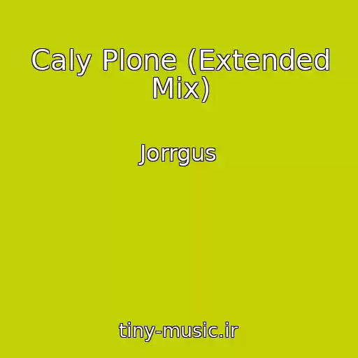 کاور آهنگ Caly Plone (Extended Mix) از Jorrgus