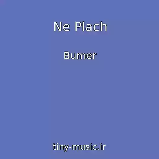 کاور آهنگ Ne Plach از Bumer