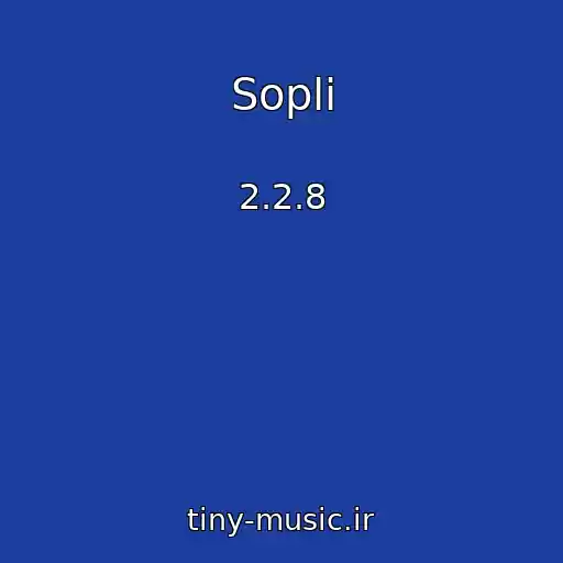 کاور آهنگ Sopli از 2.2.8