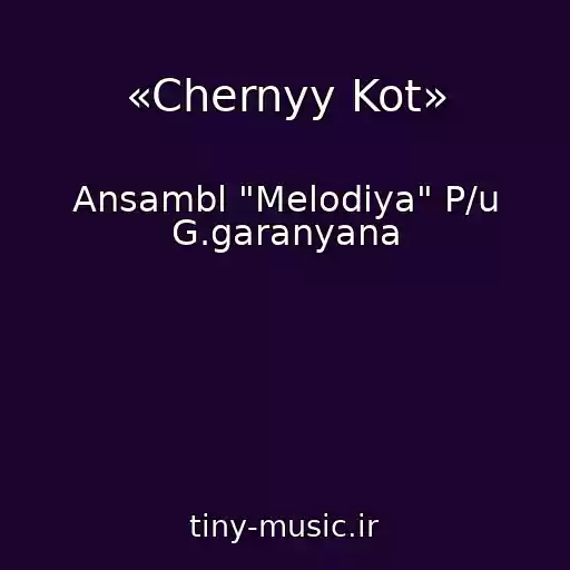 کاور آهنگ «Chernyy Kot» از Ansambl "Melodiya" P/u G.garanyana