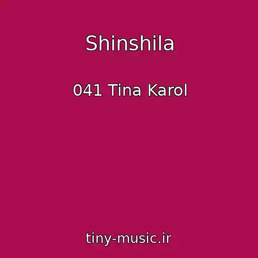 کاور آهنگ Shinshila از 041 Tina Karol