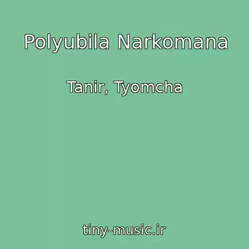 کاور آهنگ Polyubila Narkomana از Tanir, Tyomcha