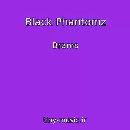کاور آهنگ Black Phantomz از Brams