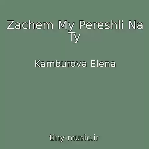 کاور آهنگ Zachem My Pereshli Na Ty از Kamburova Elena