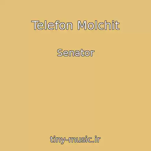کاور آهنگ Telefon Molchit از Senator