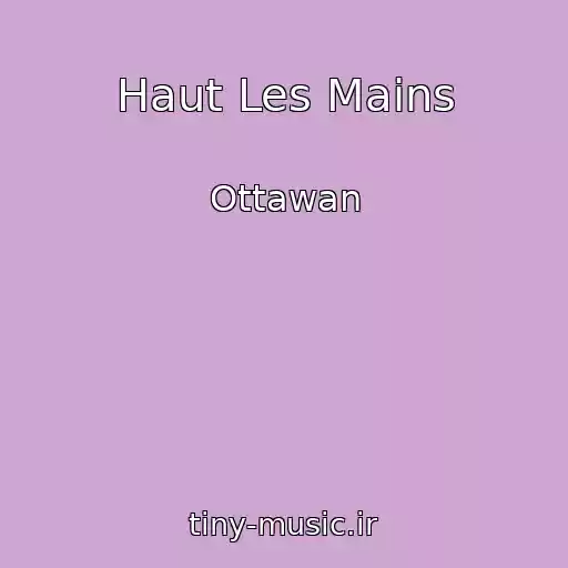 کاور آهنگ Haut Les Mains از Ottawan
