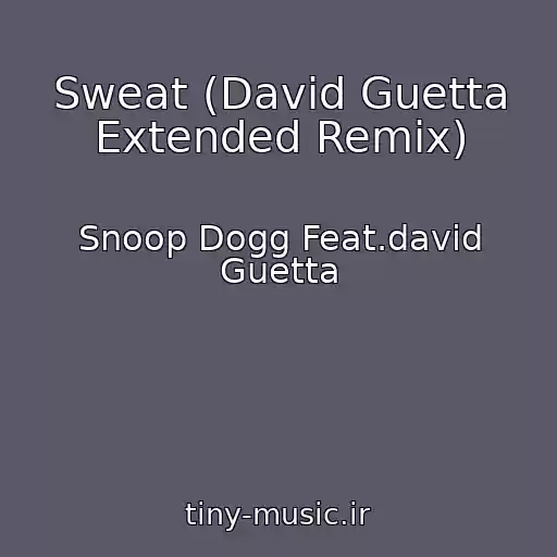 کاور آهنگ Sweat (David Guetta Extended Remix) از Snoop Dogg Feat.david Guetta