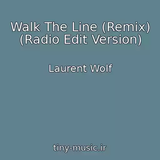 کاور آهنگ Walk The Line (Remix) (Radio Edit Version) از Laurent Wolf