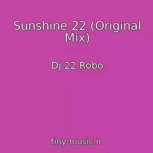 کاور آهنگ Sunshine 22 (Original Mix) از Dj 22 Robo