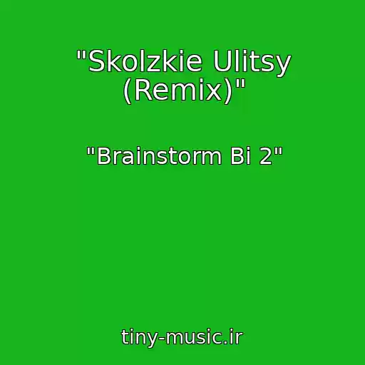 کاور آهنگ "Skolzkie Ulitsy (Remix)" از "Brainstorm Bi 2"