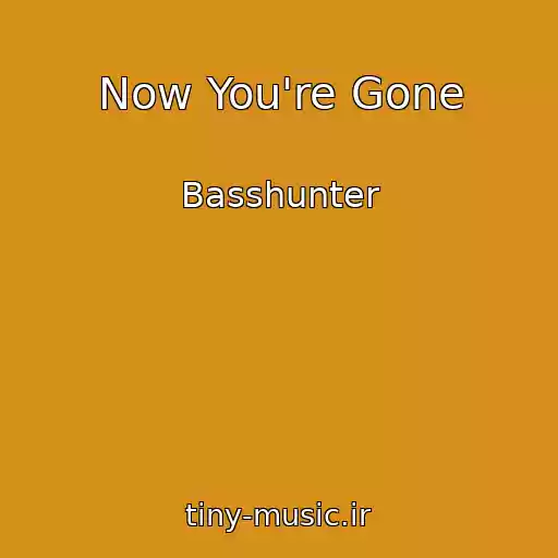 کاور آهنگ Now You're Gone از Basshunter