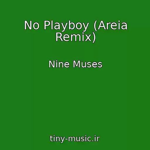 کاور آهنگ No Playboy (Areia Remix) از Nine Muses