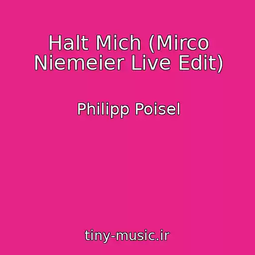 کاور آهنگ Halt Mich (Mirco Niemeier Live Edit) از Philipp Poisel