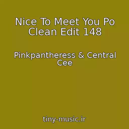 کاور آهنگ Nice To Meet You Po Clean Edit 148 از Pinkpantheress & Central Cee