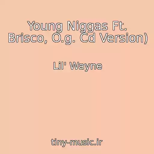کاور آهنگ Young Niggas Ft. Brisco, O.g. Cd Version) از Lil' Wayne