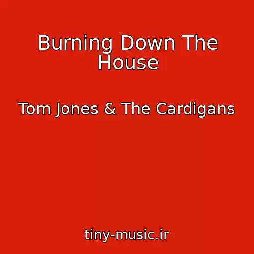 کاور آهنگ Burning Down The House از Tom Jones & The Cardigans