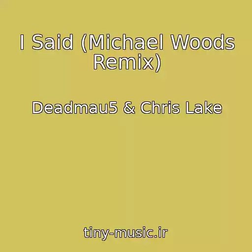 کاور آهنگ I Said (Michael Woods Remix) از Deadmau5 & Chris Lake