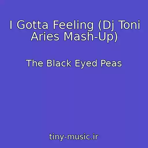 کاور آهنگ I Gotta Feeling (Dj Toni Aries Mash-Up) از The Black Eyed Peas