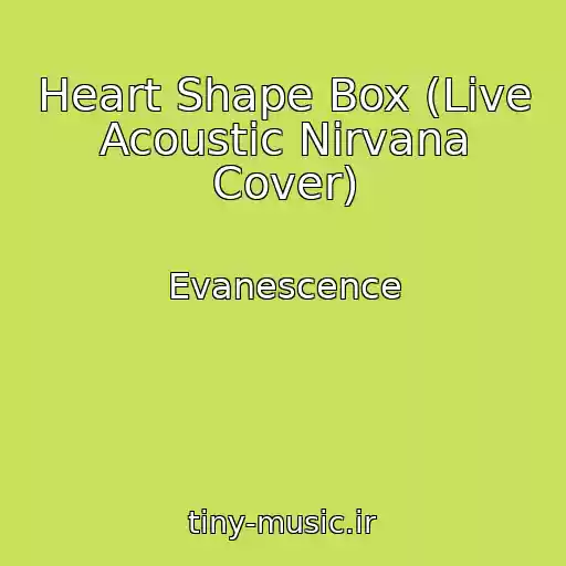 کاور آهنگ Heart Shape Box (Live Acoustic Nirvana Cover) از Evanescence