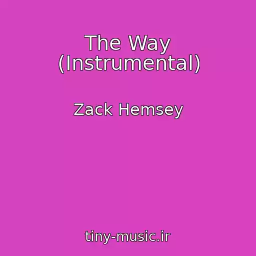کاور آهنگ The Way (Instrumental) از Zack Hemsey