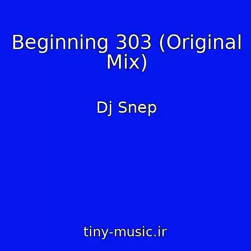 کاور آهنگ Beginning 303 (Original Mix) از Dj Snep