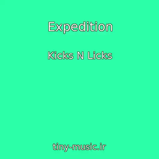 کاور آهنگ Expedition از Kicks N Licks