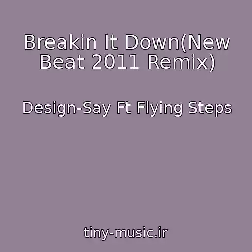 کاور آهنگ Breakin It Down(New Beat 2011 Remix) از Design-Say Ft Flying Steps