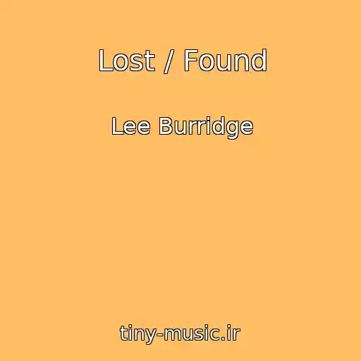 کاور آهنگ Lost / Found از Lee Burridge