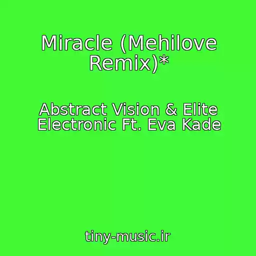 کاور آهنگ Miracle (Mehilove Remix)* از Abstract Vision & Elite Electronic Ft. Eva Kade