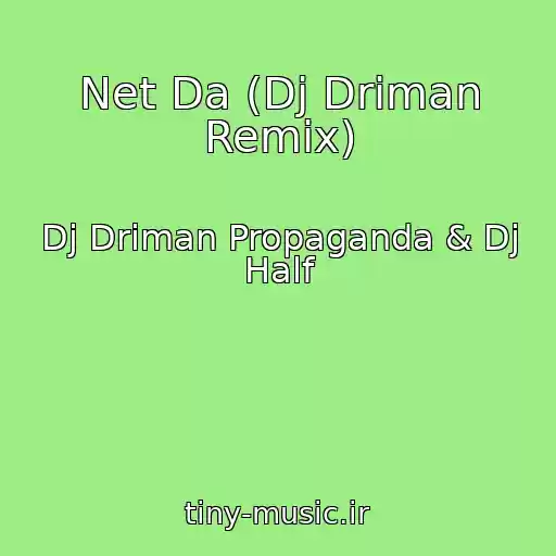 کاور آهنگ Net Da (Dj Driman Remix) از Dj Driman Propaganda & Dj Half